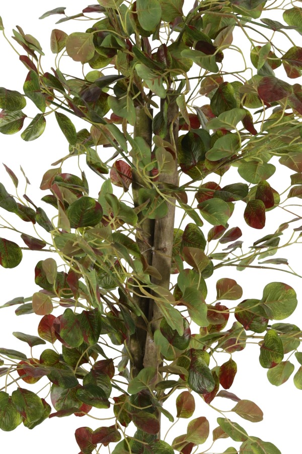 Yapay Para Ağacı 190cm - 2