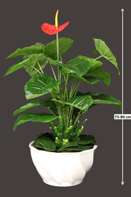 Yapay Saloon Bitkisi Antoryum Melamin Saksılı - 1