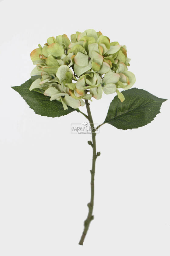 Yapay Tek Dal Pastel Ortanca Dalı 58 cm Yeşil - 2