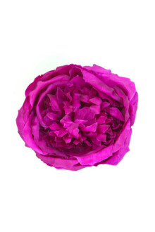 Yapay Tek Kafa Şakayık Gül Koyu Mor 12 cm - Yapay Çiçek Sitesi