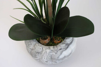 Yapay Tropikal Orkide Tanzimi Islak Dokuda Beton Saksılı Beyaz - 4